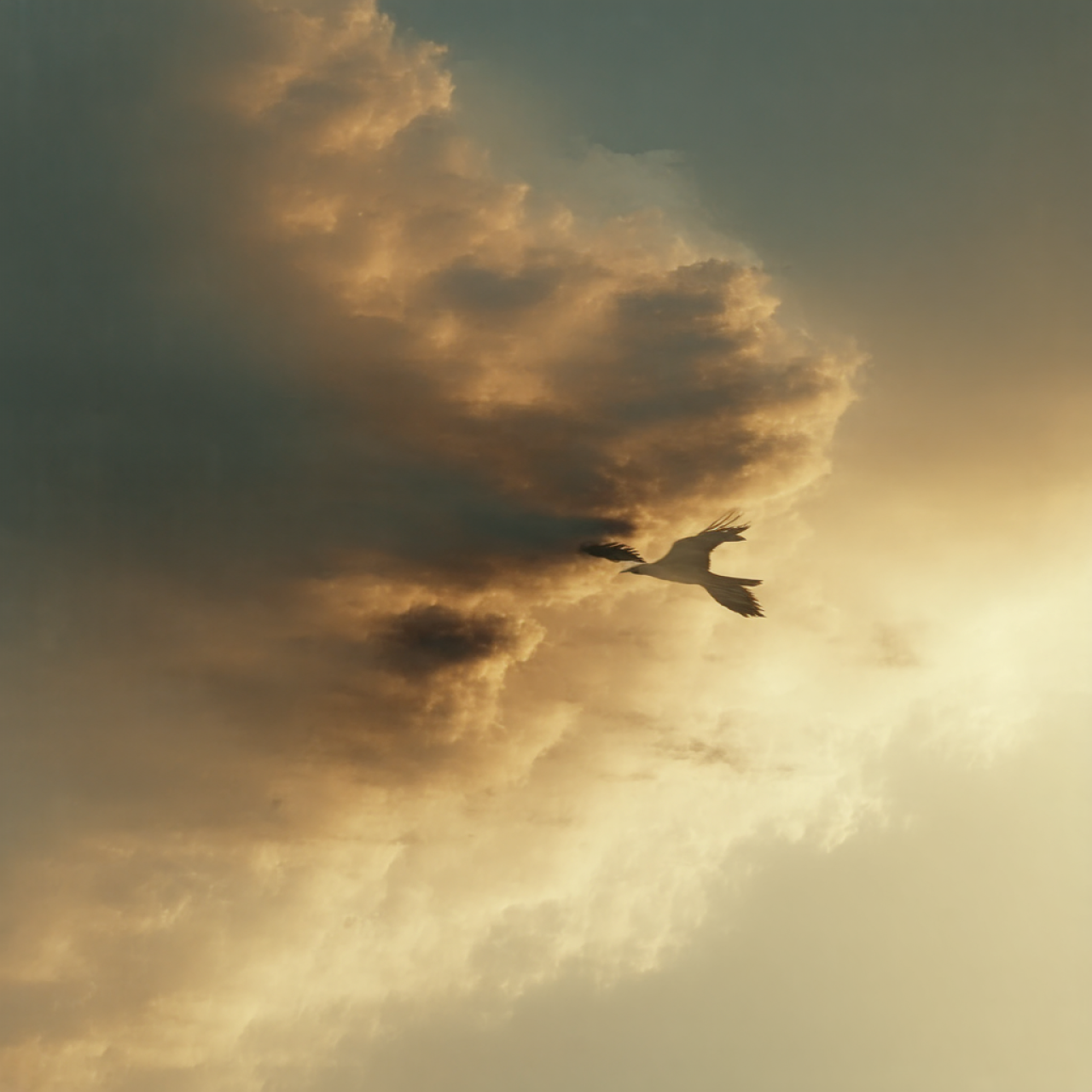 Desafiando o Convencional: O Que Significa Fly in the Face Of?